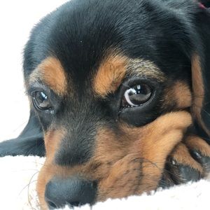 Meet your Posher, Elizabeth